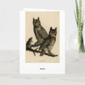 オードボ素晴らしンのアメリカの鳥から生まれた角型フクロウ カード (裏面)