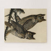 オードボ素晴らしンのアメリカの鳥から生まれた角型フクロウ ジグソーパズル (横)