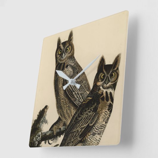 オードボ素晴らしンのアメリカの鳥から生まれた角型フクロウ スクエア壁時計 (傾斜)