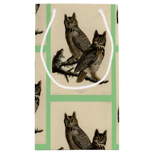 オードボ素晴らしンのアメリカの鳥から生まれた角型フクロウ スモールペーパーバッグ (裏面)