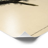 オードボ素晴らしンのアメリカの鳥から生まれた角型フクロウ フォトプリント (角)