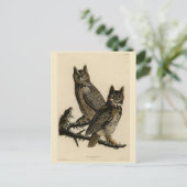 オードボ素晴らしンのアメリカの鳥から生まれた角型フクロウ ポストカード (スタンド正面)