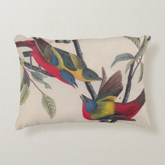 オードボ絵を描ンバント野生動物 アクセントクッション (正面)