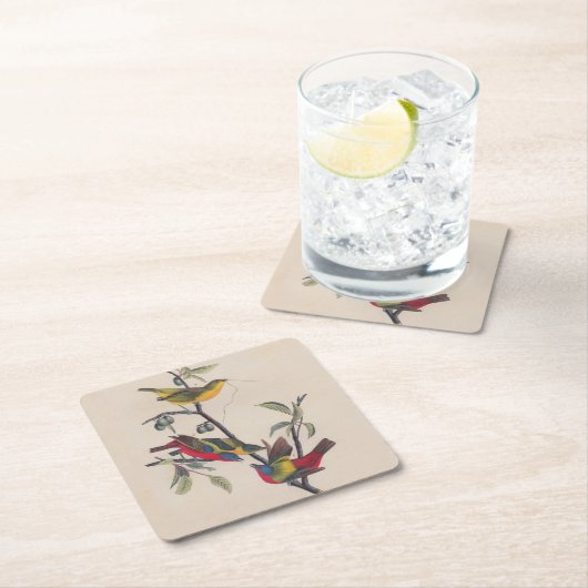 オードボ絵を描ンバント野生動物 スクエアペーパーコースター (インサイチュ)