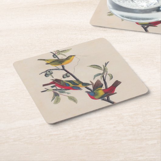 オードボ絵を描ンバント野生動物 スクエアペーパーコースター (アングル)