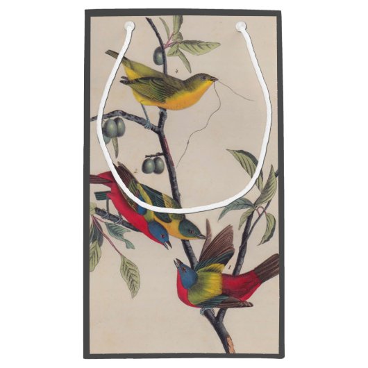 オードボ絵を描ンバント野生動物 スモールペーパーバッグ (裏面)