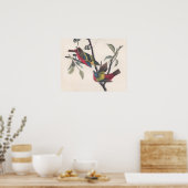 オードボ絵を描ンバント野生動物 ポスター (キッチン)