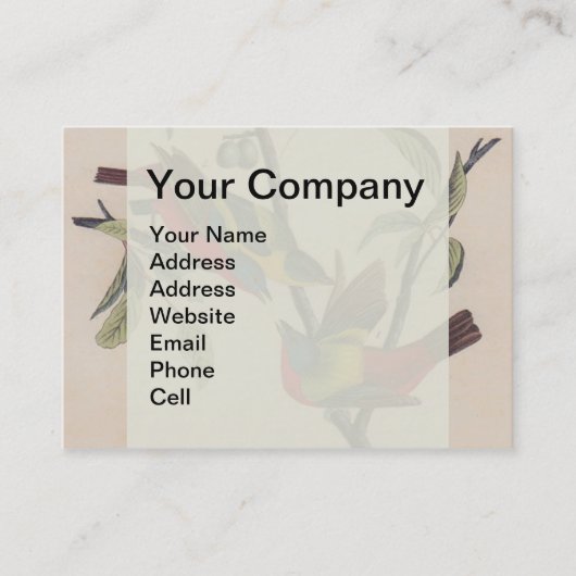 オードボ絵を描ンバント野生動物 名刺 (正面)