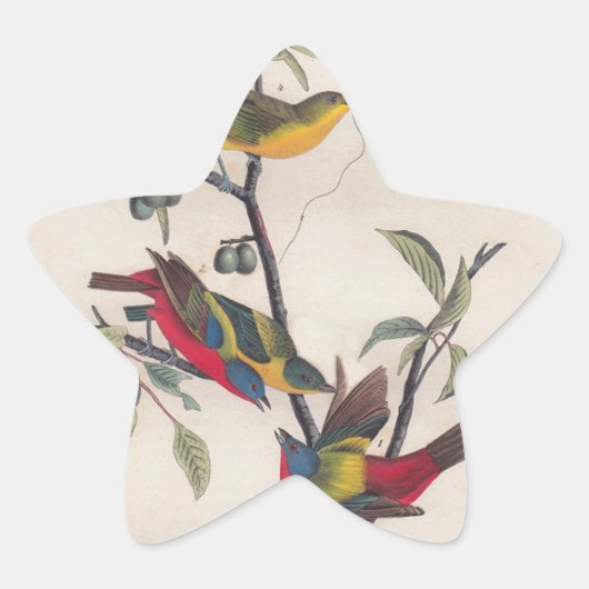 オードボ絵を描ンバント野生動物 星シール (正面)