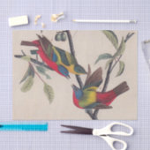 オードボ絵を描ンバント野生動物 薄葉紙 (クラフト)