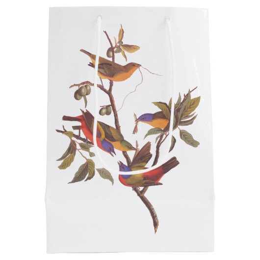 オードボ色彩の鮮やかンバント鳥は野生の梅 ミディアムペーパーバッグ (裏面)