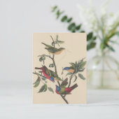 オードボ鮮やかン絵を描バンティン野生動物絵を描ズ ポストカード (スタンド正面)