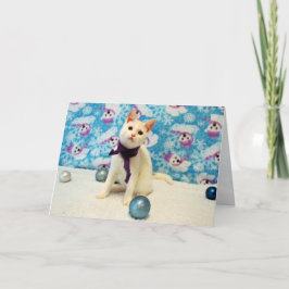 オードリーのクリスマス – ネコ/キッテンホリデーカード シーズンカード