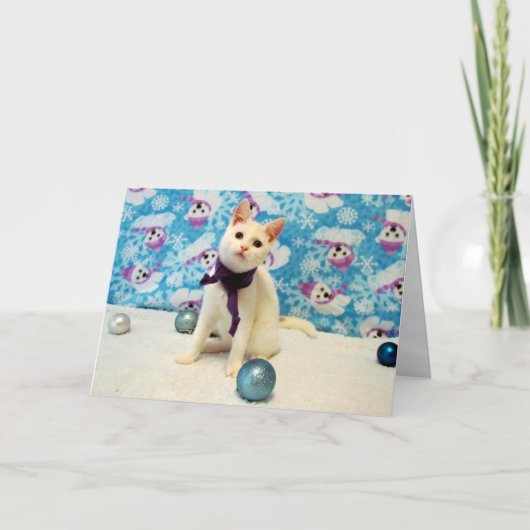 オードリーのクリスマス – ネコ/キッテンホリデーカード シーズンカード (正面)