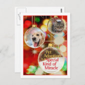 オーナメントはがき ポストカード (正面/裏面)