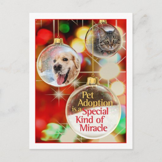 オーナメントはがき ポストカード (正面)