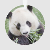 オーナメントフォトジャイアントパンダ、動物0292。 オーナメント (裏面)