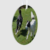 オーナメント縁ど-コリー遊ズ・ボール オーナメント (正面)