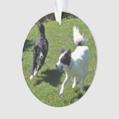オーナメント縁ど-コリー遊ズ・ボール オーナメント (正面)