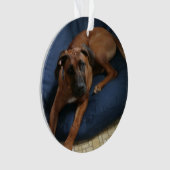 オーナメント (正面)