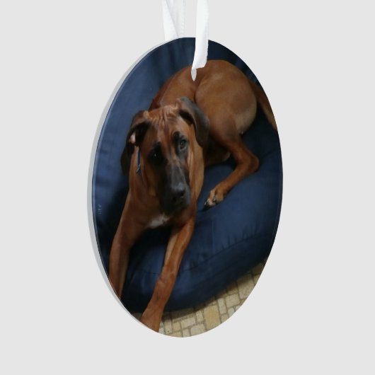 オーナメント (正面)