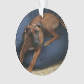 オーナメント (正面)