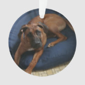 オーナメント (正面)