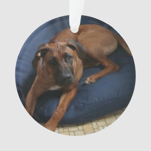 オーナメント (正面)