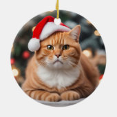 オーナメント (裏面)