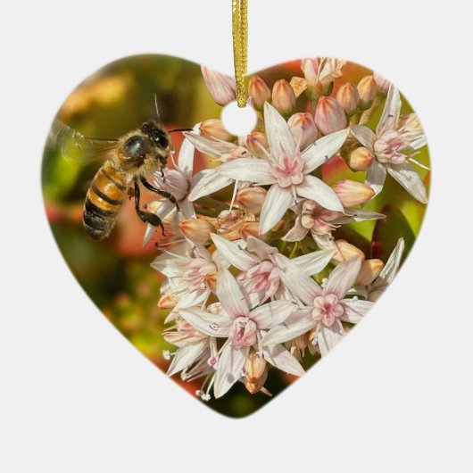 オーナメント (正面)