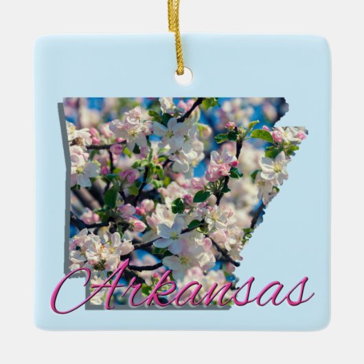 オーナメント – アーカンソー (正面)