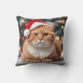 オーナメント クッション (裏面)