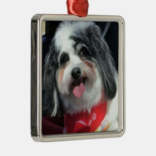 オーナメント、クリスマス、犬K Ceeの赤 メタルオーナメント (右)