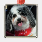 オーナメント、クリスマス、犬K Ceeの赤 メタルオーナメント (正面)