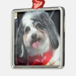 オーナメント、クリスマス、犬K Ceeの赤 メタルオーナメント
