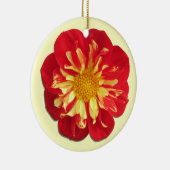 オーナメント – スターシスターダリア (右)