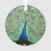 オーナメント – ピーコック (裏面)