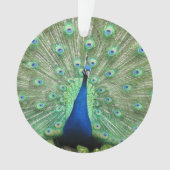 オーナメント – ピーコック (正面)