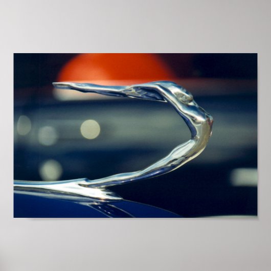 オーナメント ポスター (正面)