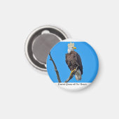 オーナメント マグネット (正面/裏面)