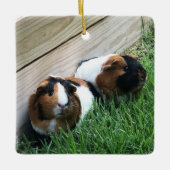 オーナメント – モルモット (正面)