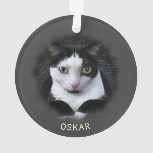 オーナメントwペットの写真と名前の2アクリル オーナメント