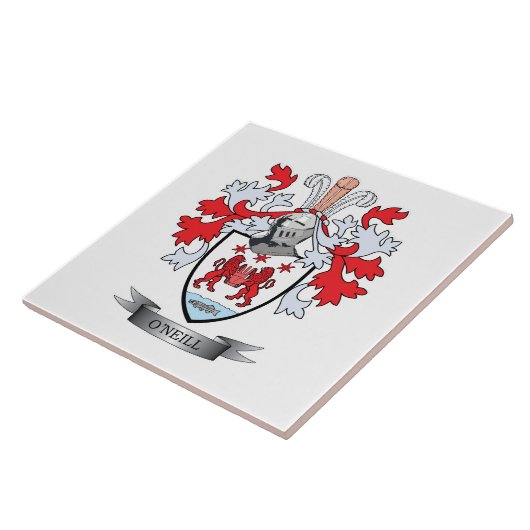 オーニールの紋章付き外衣 タイル (側面)