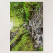 オーバーグロウンシャロークリーク滝