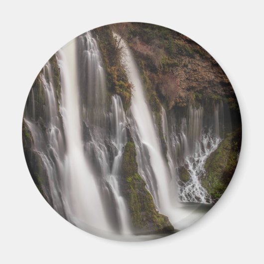 オーバーザエッジバーニー秋 マグネット (正面)