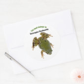 オーバーヘッドカエル写真カスタムクラシック丸 ラウンドシール (封筒)