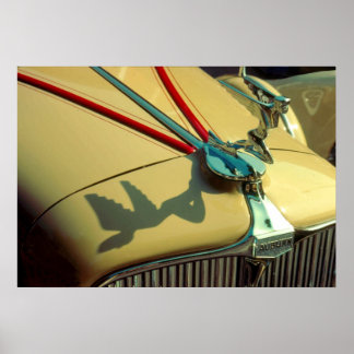 オーバーンスピードスターラジエーターオーナメント ポスター