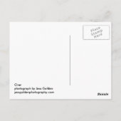 オーバー ポストカード (裏面)