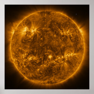 オービターによって見られる太陽の太陽 ポスター