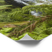 オーファロアの秋、カランガケ峡谷、パエロアの近く。 ポスター (角)